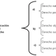 Clasificacion del derecho
