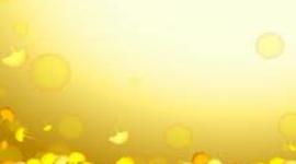 Timeline: CONVENCIÓN