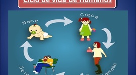 Timeline: CICLO VITAL DEL SER HUMANO