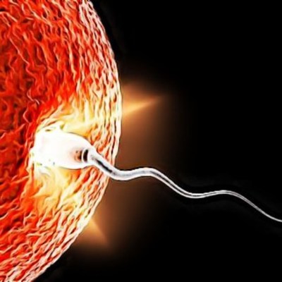 Timeline: Ciclo vital del ser humano.