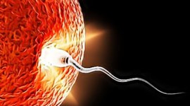 Timeline: Ciclo vital del ser humano.