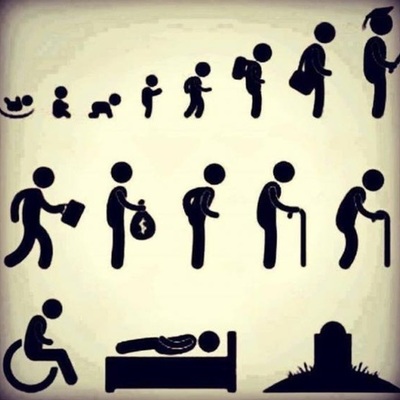 Timeline: Ciclo vital del ser humano.