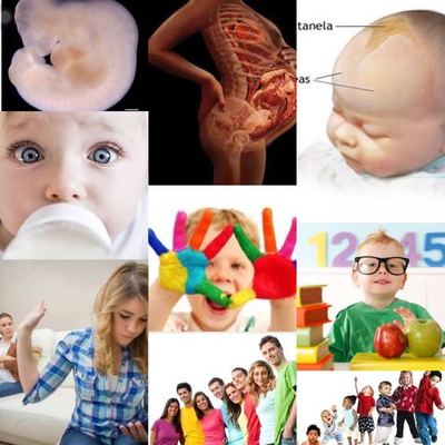 Timeline: CICLO VITAL HUMANO