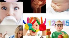 Timeline: CICLO VITAL HUMANO