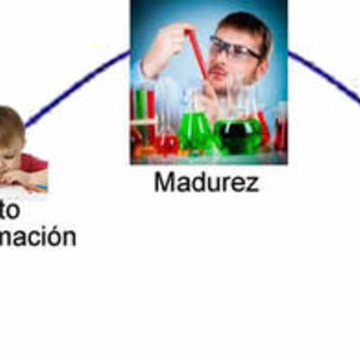Timeline: Ciclo de vida de todo ser humano.