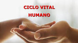 Timeline: ciclo vital