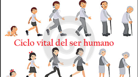 Timeline: CICLO VITAL DEL SER HUMANO- JIMENEZ ALMA