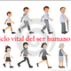 Ciclo vital de ser humano