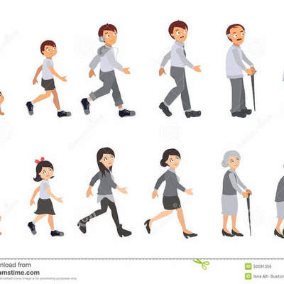 Timeline: CICLO VITAL