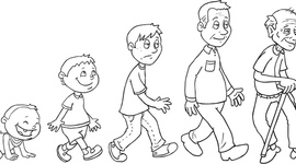 Timeline: Ciclo de la vida