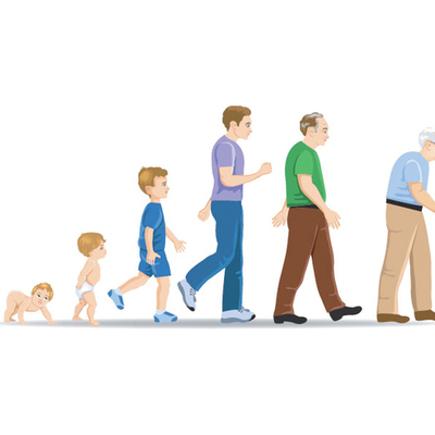 Timeline: Ciclo Vital Del Ser Humano