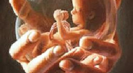 Timeline: Ciclo Vital del Ser Humano