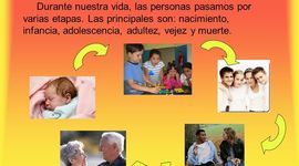 Timeline: CICLO VITAL HUMANO