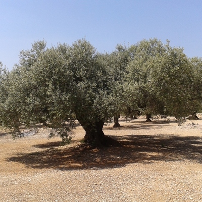 Timeline: El meus moments