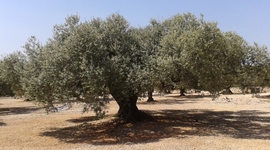 Timeline: El meus moments