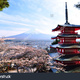Stock photo red pagoda with mt fuji as the background 110040665