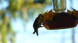 Timeline: Daylyns Timeline