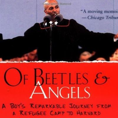 Timeline: Of Beetles & Angels-Sandi