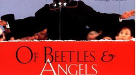 Timeline: Of Beetles & Angels-Sandi