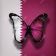 16586558 qatar flag butterfly with isolated on flag background stock photo