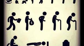 Timeline: Ciclo vital humano.