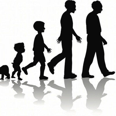 Timeline: Nutrition throughout the Life Cycle ( Maithem & Justin)