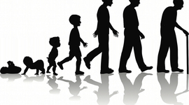 Timeline: Nutrition throughout the Life Cycle ( Maithem & Justin)