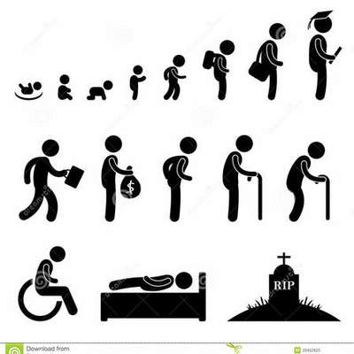 Timeline: Nutrition Throughout the Life Cycle (Fionna Richards & Anfernee Bennerman)