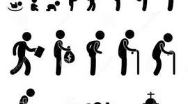 Timeline: Nutrition Throughout the Life Cycle (Fionna Richards & Anfernee Bennerman)