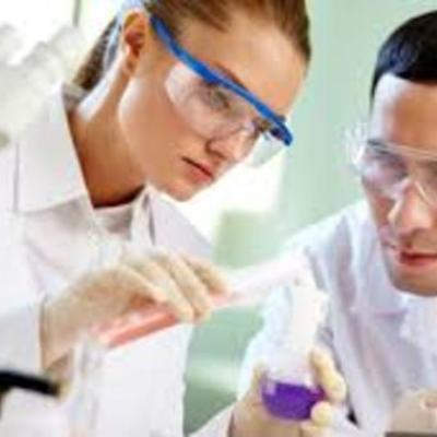 Timeline: larsen farms