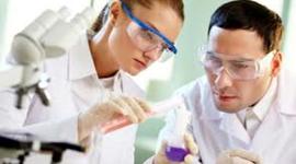 Timeline: larsen farms