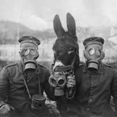 Timeline: The Start of World War One