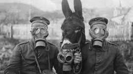 Timeline: The Start of World War One