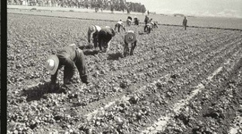 Timeline: Immigration Issues