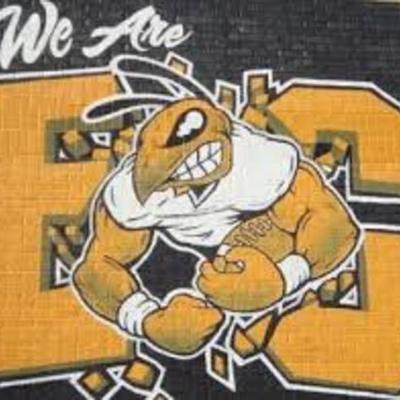 Timeline: I finally made it !!!!! 2020