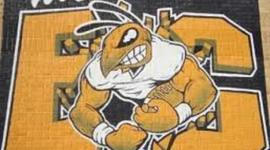 Timeline: I finally made it !!!!! 2020