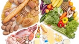 Timeline: Nutrition throughout the Life Cycle (Alex and Suzanne)