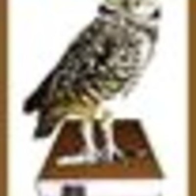 Timeline: История развития нанотехнологий