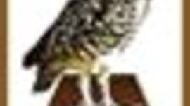 Timeline: История развития нанотехнологий