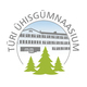 Türi ühisgümnaasium kujundaja anneli kenk1