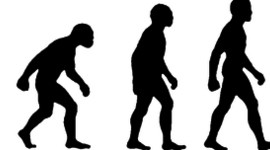 Timeline: Evolution of the Bicycle