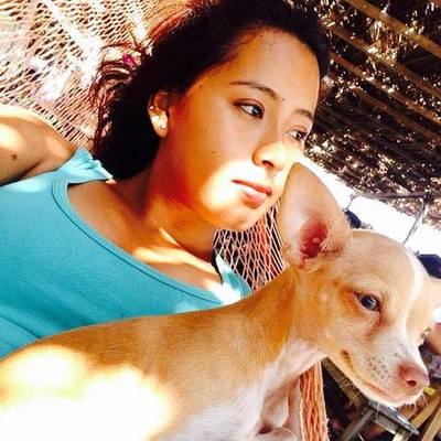 Timeline: Linea del Tiempo de Jessica Adriana Bentura Lopez