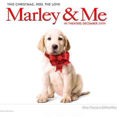 Timeline: Marley & Me