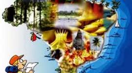 Timeline: Los Antecedentes del Turismo