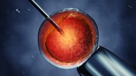 Timeline: FIV Costa Rica