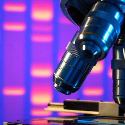 Timeline: Microscopy