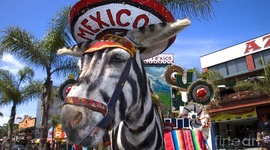 Timeline: Avenida Revolución