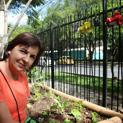 Timeline: Casa de la Cultura Los Colores