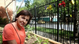 Timeline: Casa de la Cultura Los Colores