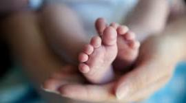 Timeline: Toddler Timeline